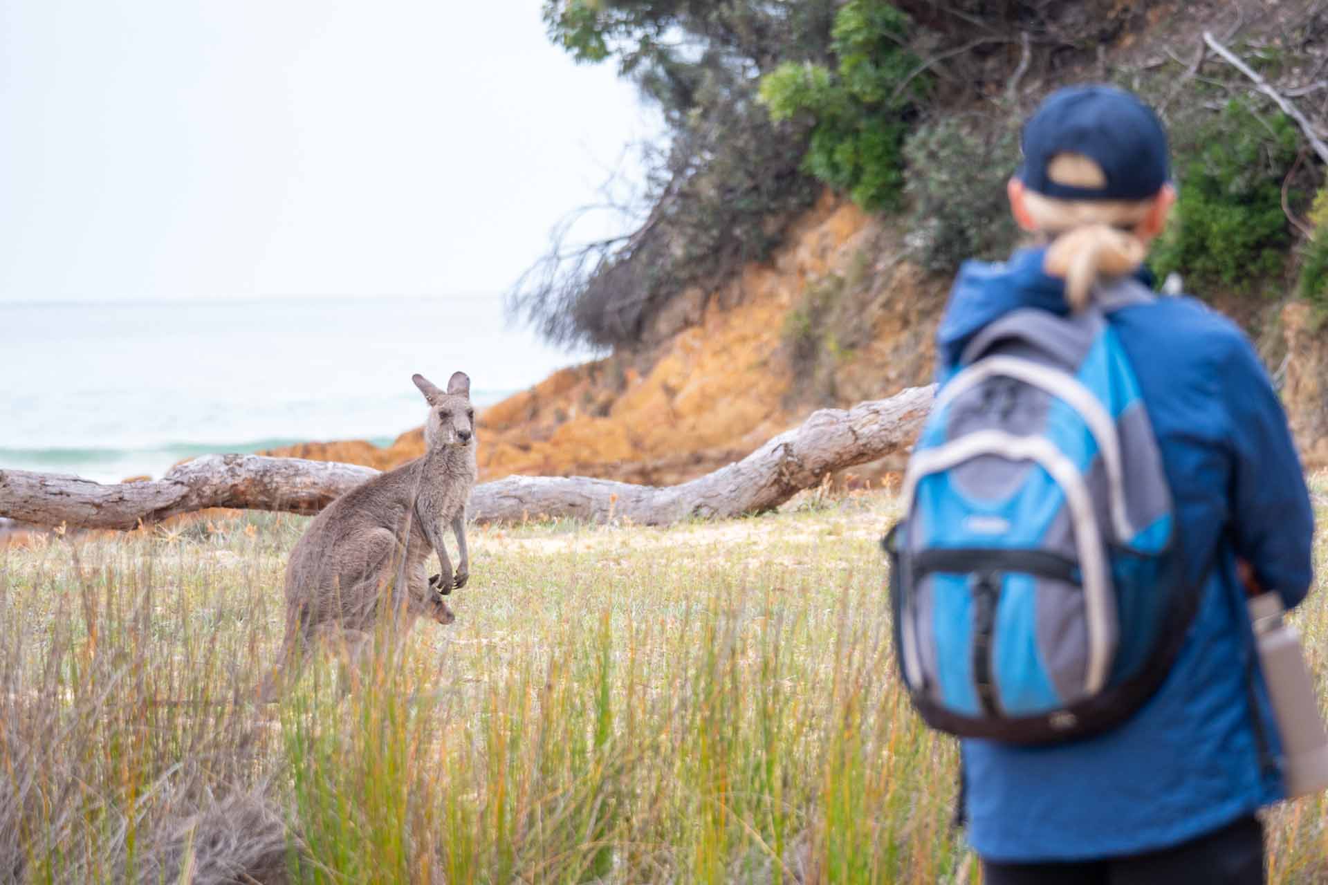 Navigate Expeditions, tour company NSW south coast, Mimosa Rocks National Park