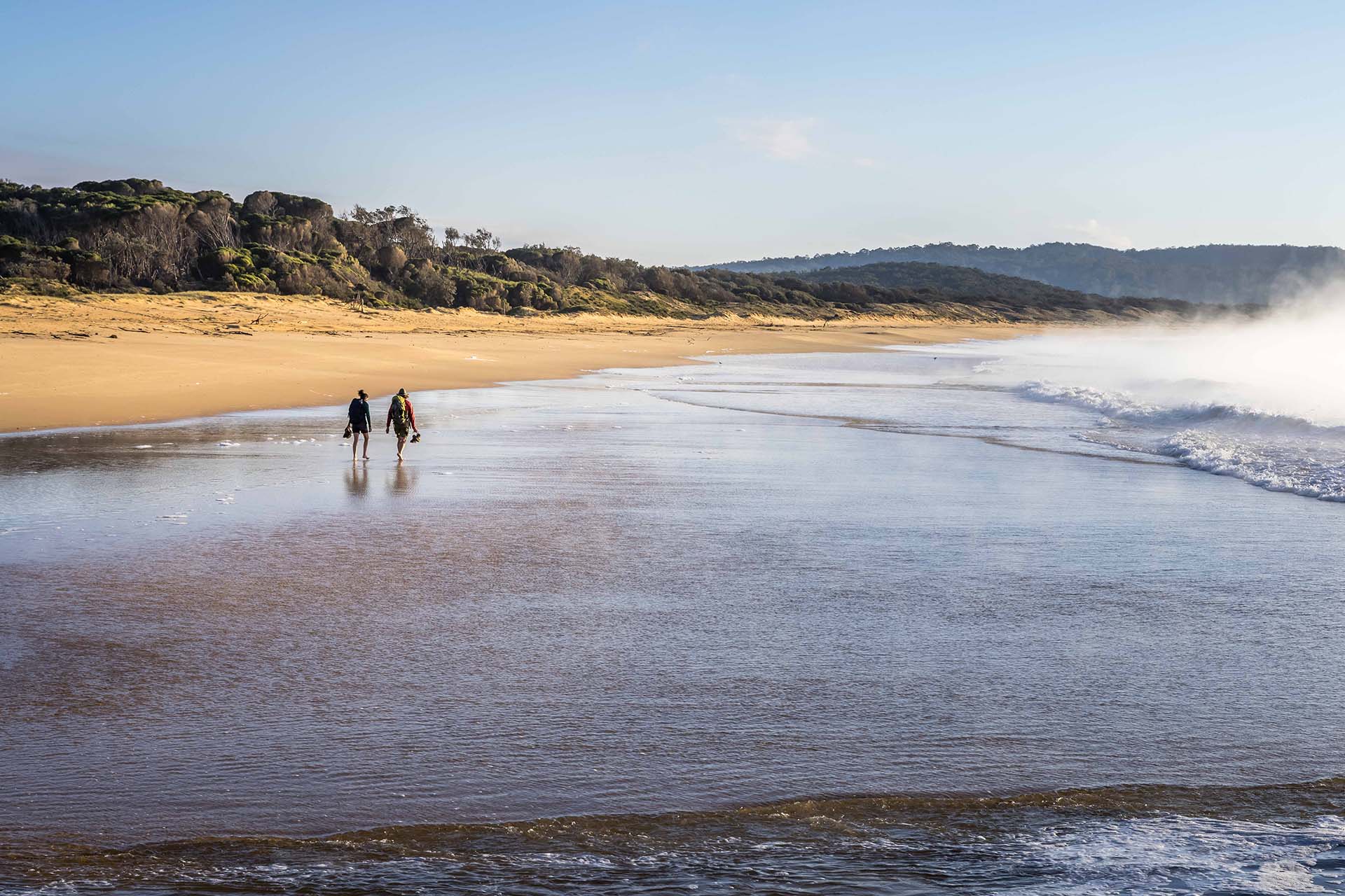 Walks, Sapphire Coast, NSW, South Coast, National Parks, Whale Watching
