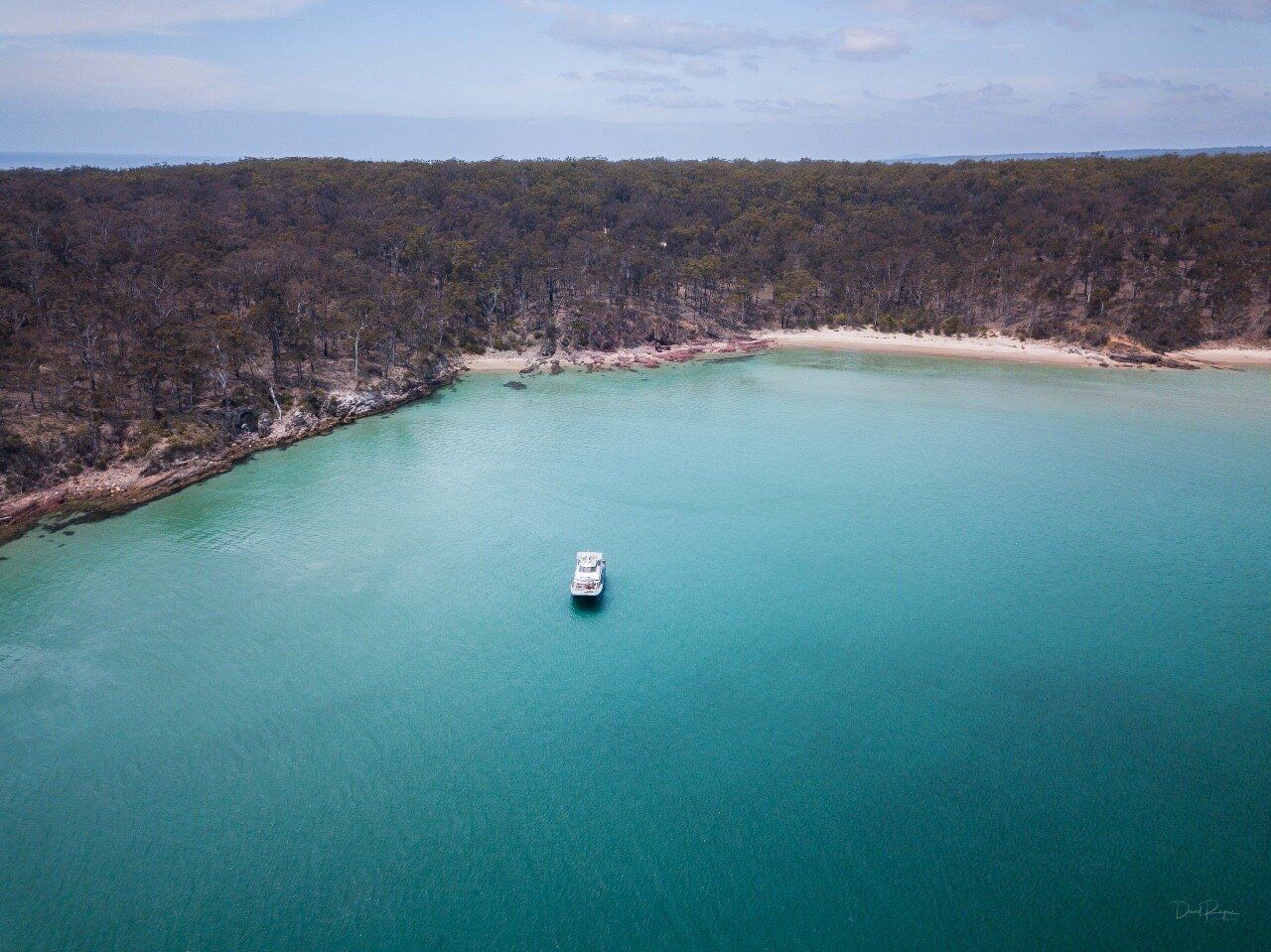 Whale Watching tour on the South Coast, NSW