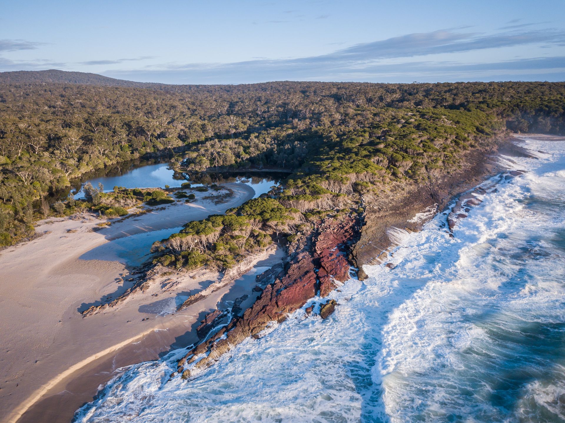 Marine and wildlife experiences on the Sapphire Coast, NSW