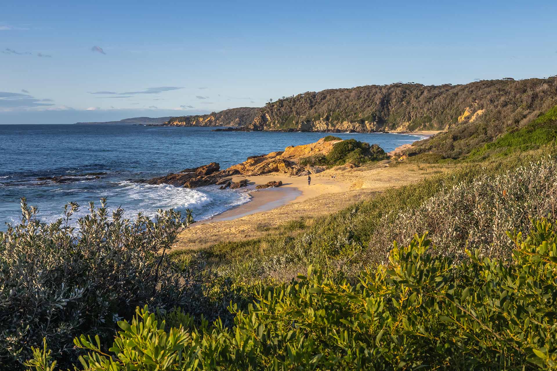 Beares Beach, Bermagui, dog friendly