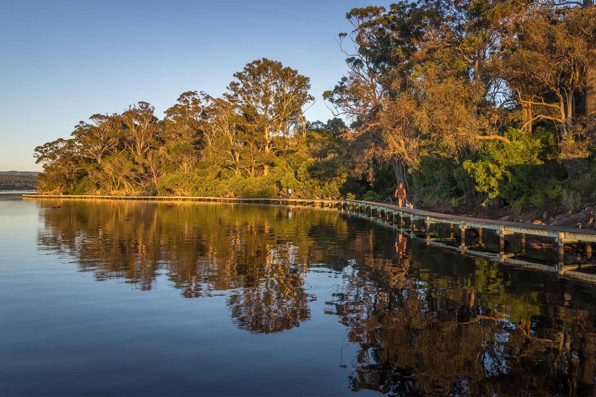 Merimbula Boardwalk