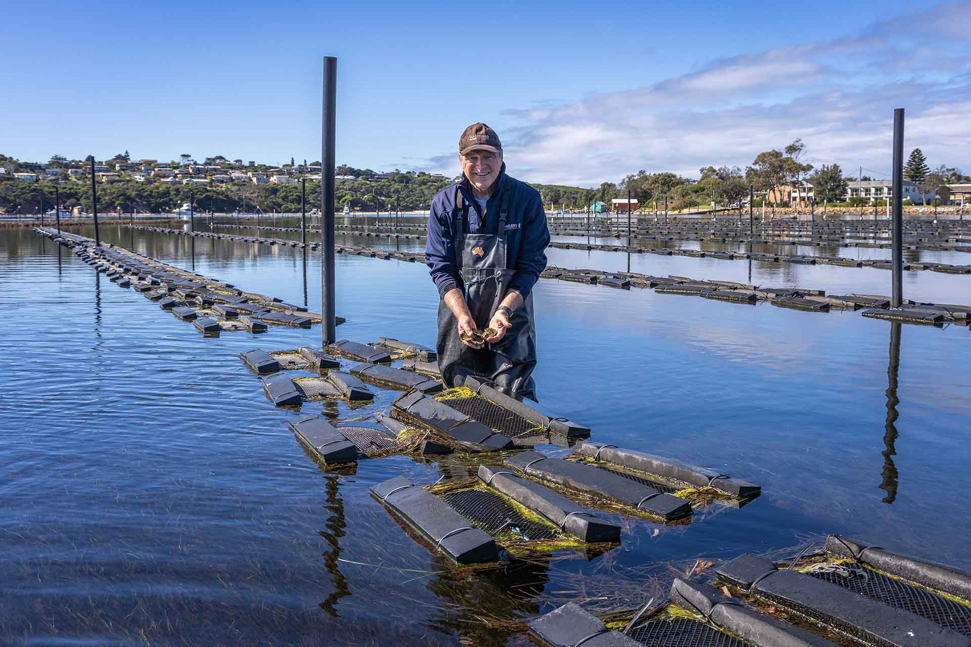 Wheelers Oysters at Merimbula Lake, Sapphire Coast