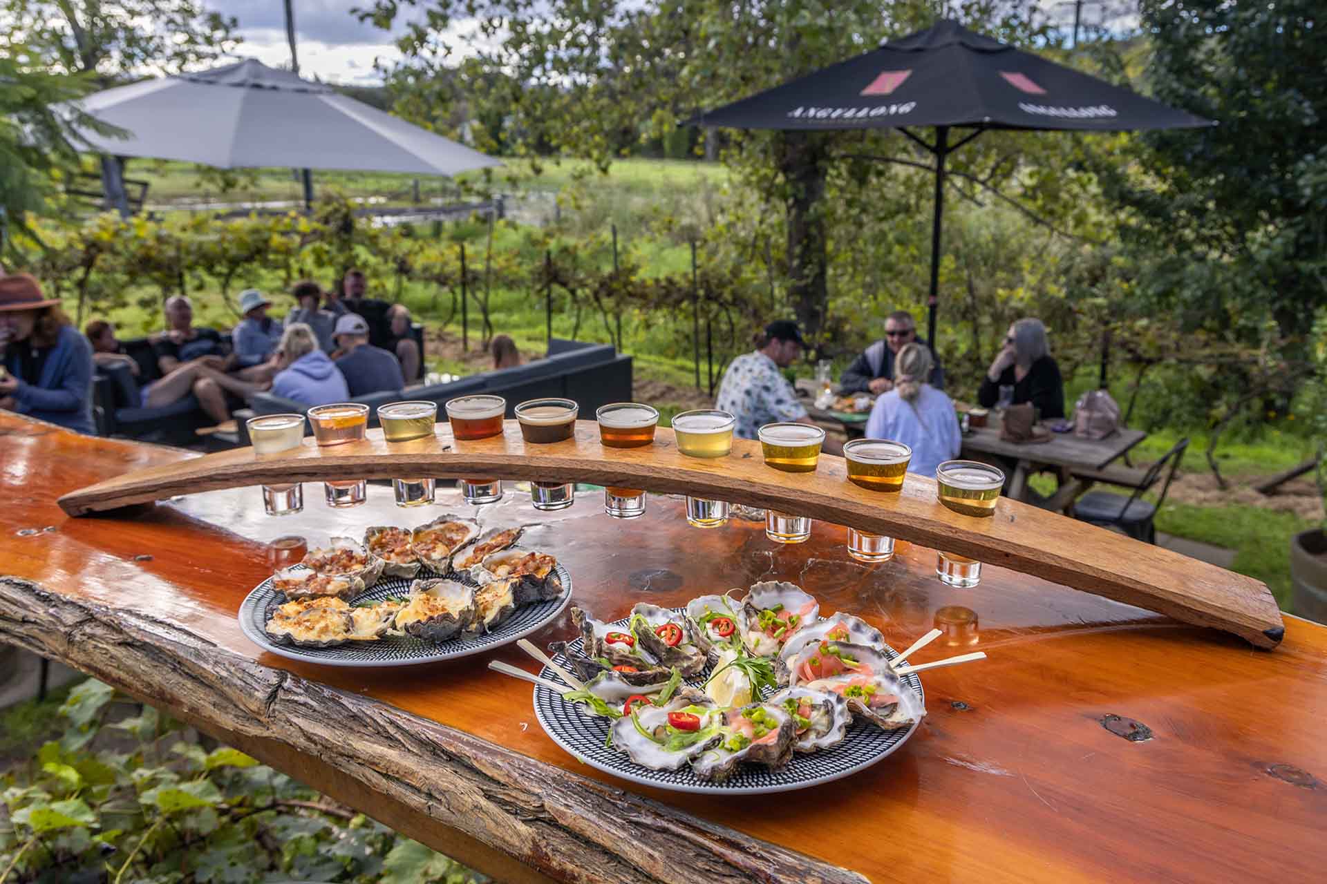 Food and drink for mountain bikers, Sapphire Coast NSW