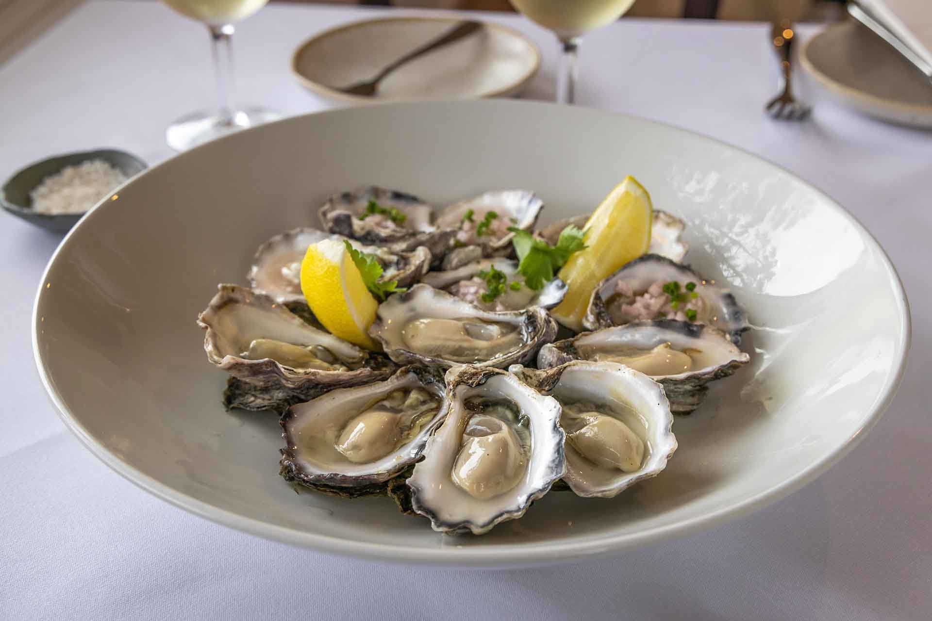 Oysters on the Sapphire Coast