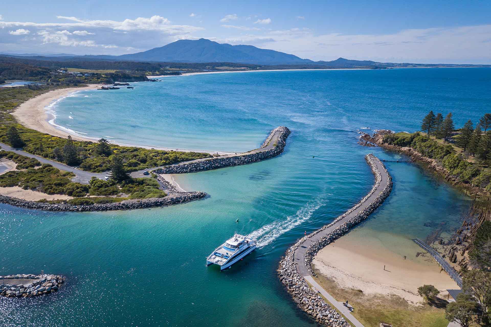 Whale watching in Bermagui on the south coast NSW