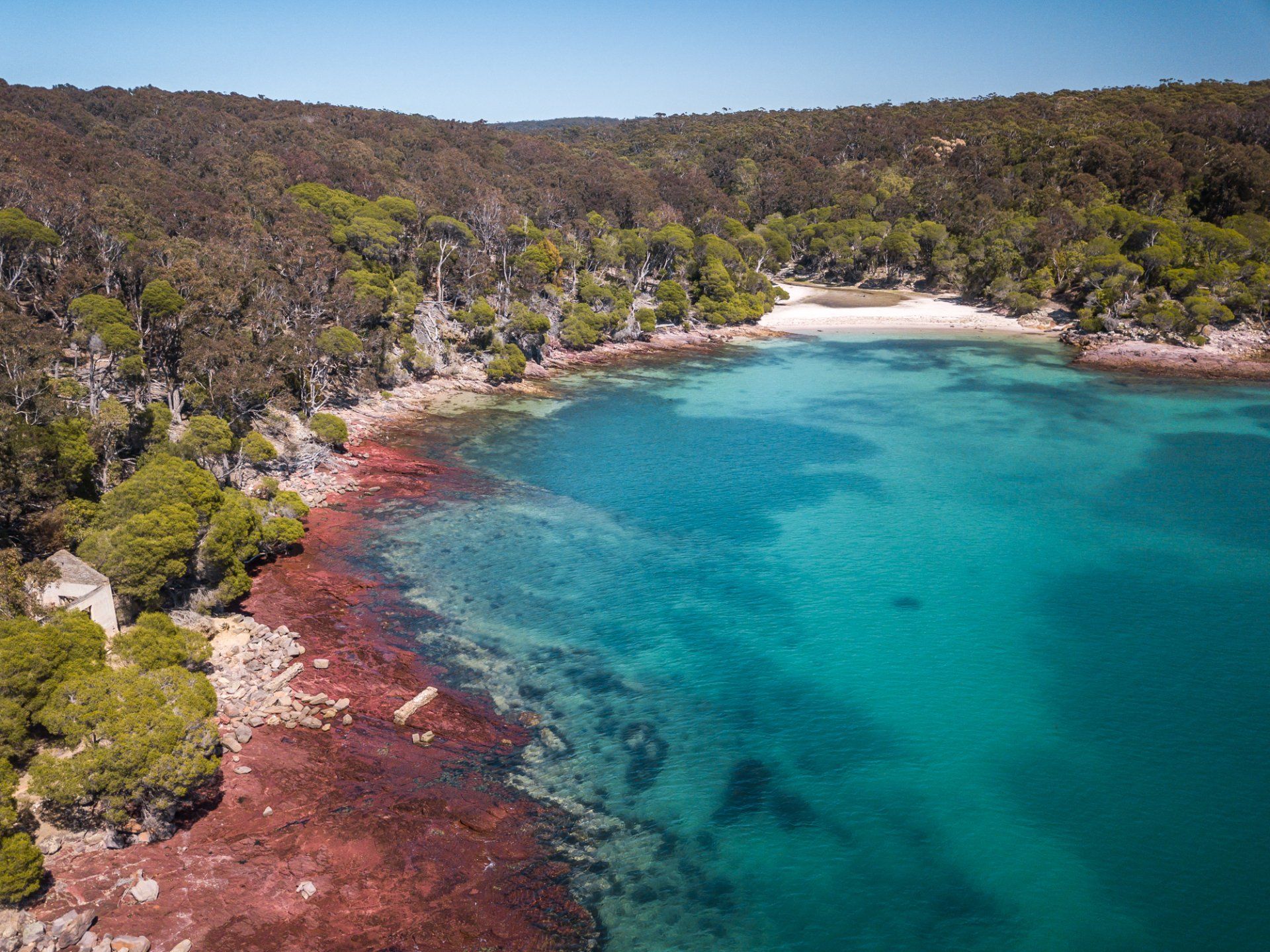 Best beaches on the Sapphire Coast NSW, beach holidays NSW, family friendly beaches NSW, South Coast