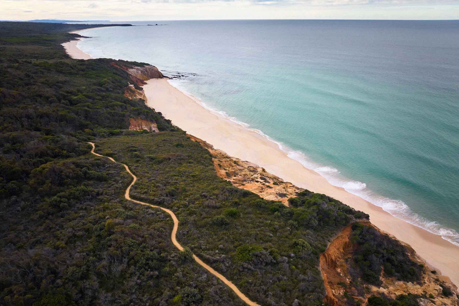 Pinnacles loop walking track, Beowa National Park