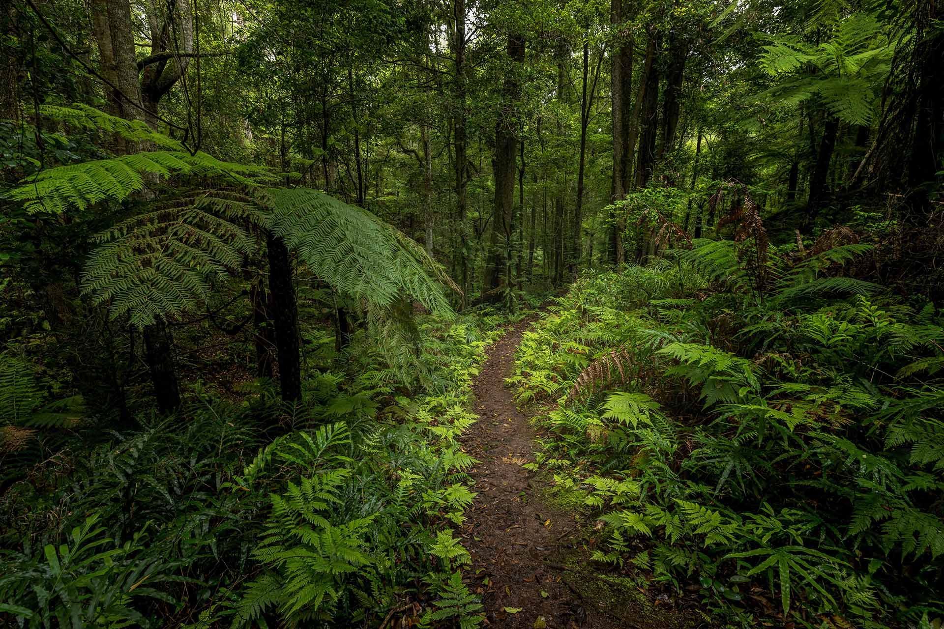 Rainy day activities on the Sapphire Coast, NSW