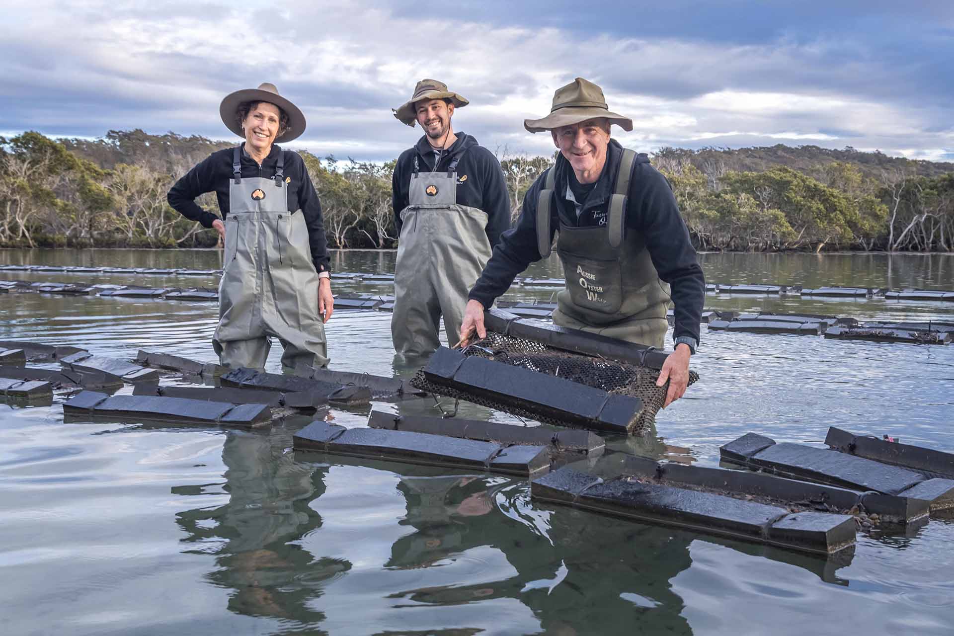 Tathra Oysters, far south coast NSW, Sapphire Coast