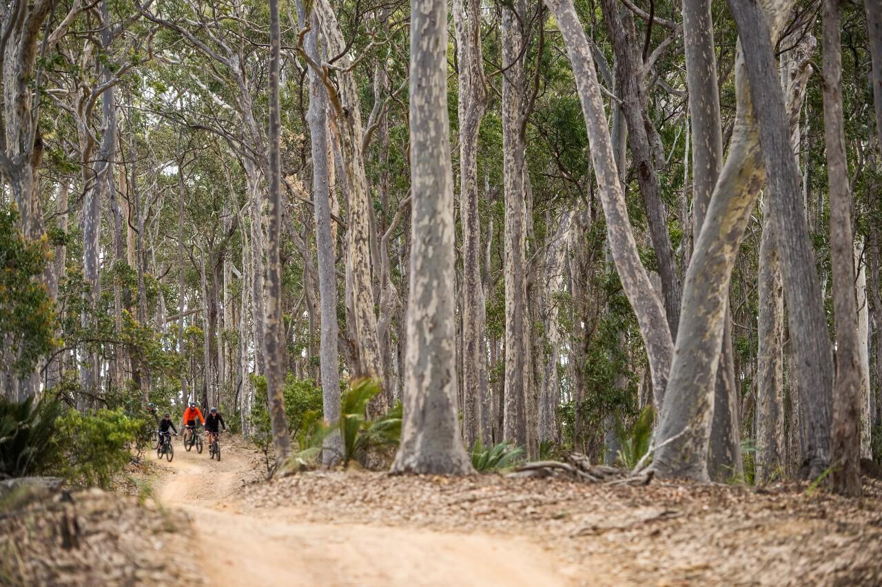 Tathra mountain bike trails, Sapphire Coast