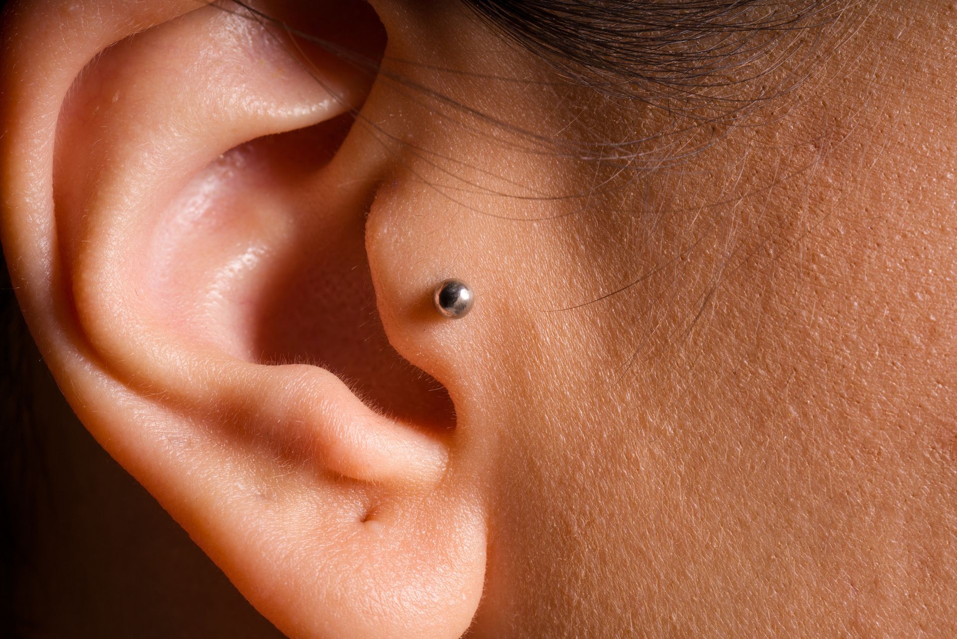 Tragus Piercing with Round Stud - Manhattan, NY - Studio 28 Tattoo Tragus Piercing with Round Stud - Manhattan, NY - Studio 28 Tattoo