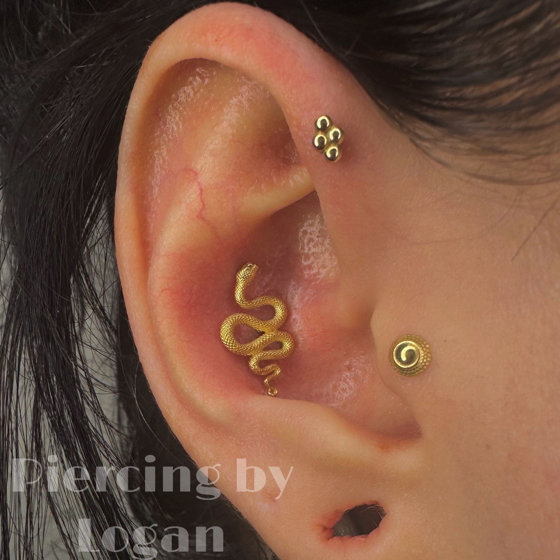 Ear with three piercings: snake, clustered studs, and a single stud. Gold jewelry on a light skin tone.