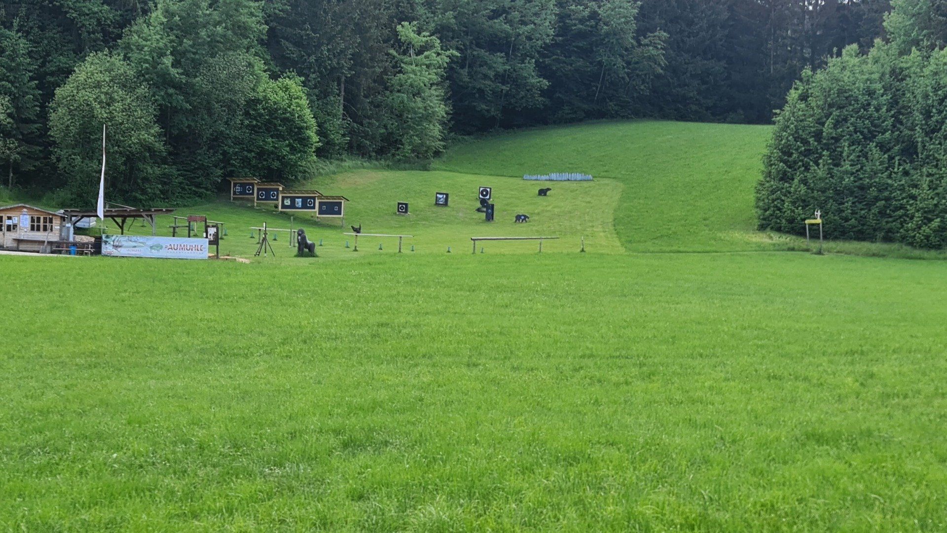 Grünes Grasfeld mit Bogenschießscheiben, Bäume im Hintergrund, bedeckter Himmel.