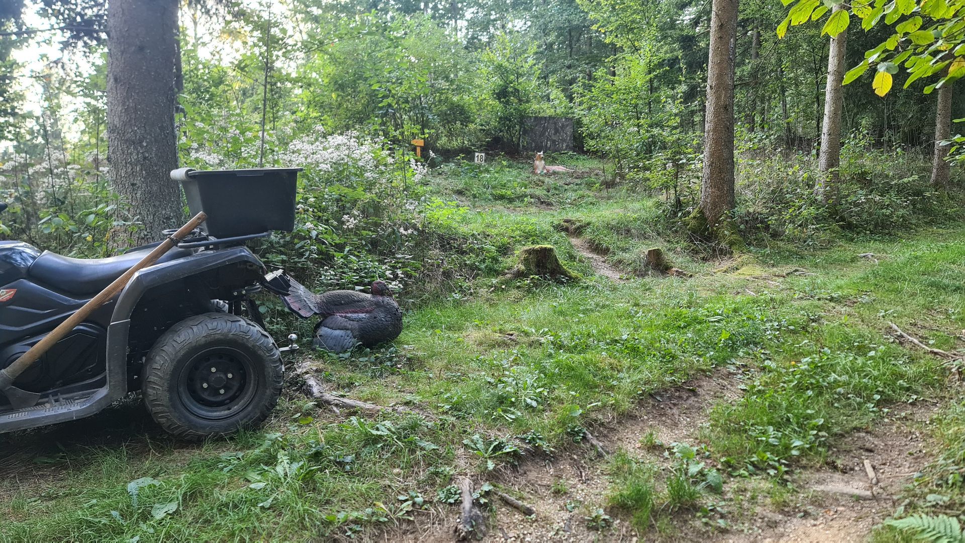 Ein Quad ist in der Nähe von Bäumen auf einer Grasfläche geparkt, im Hintergrund ist ein dunkler Gegenstand zu sehen.