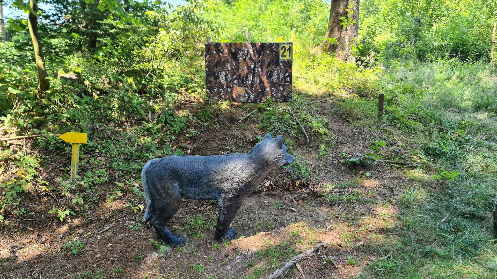 Szene mit einer Zielscheibe beim Bogenschießen: Wolf und rechteckige Zielscheibe in einem bewaldeten Gebiet mit Laubwerk.