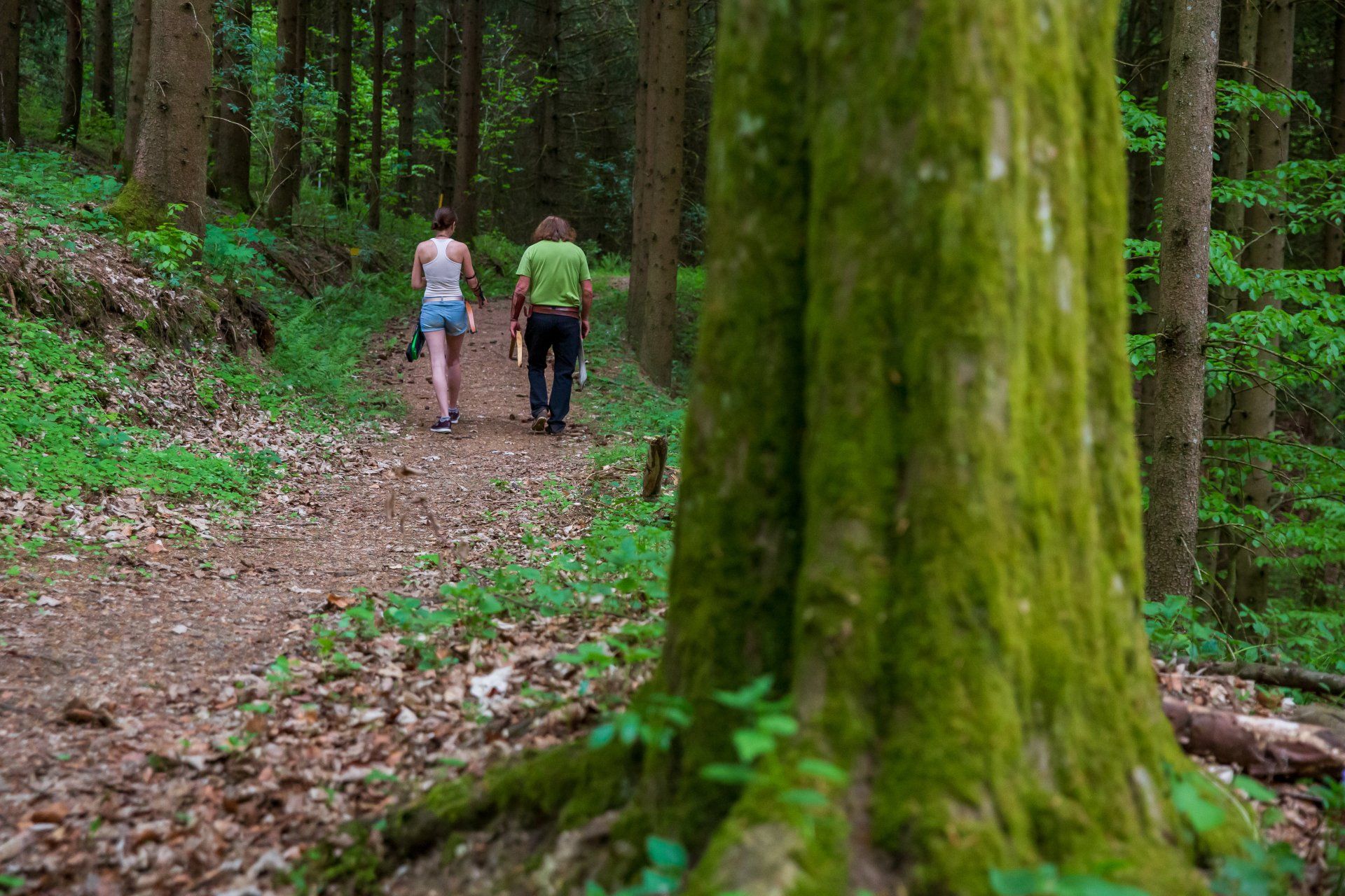Zwei Personen gehen einen Waldweg entlang. Im Vordergrund ist ein moosbedeckter Baum zu sehen.