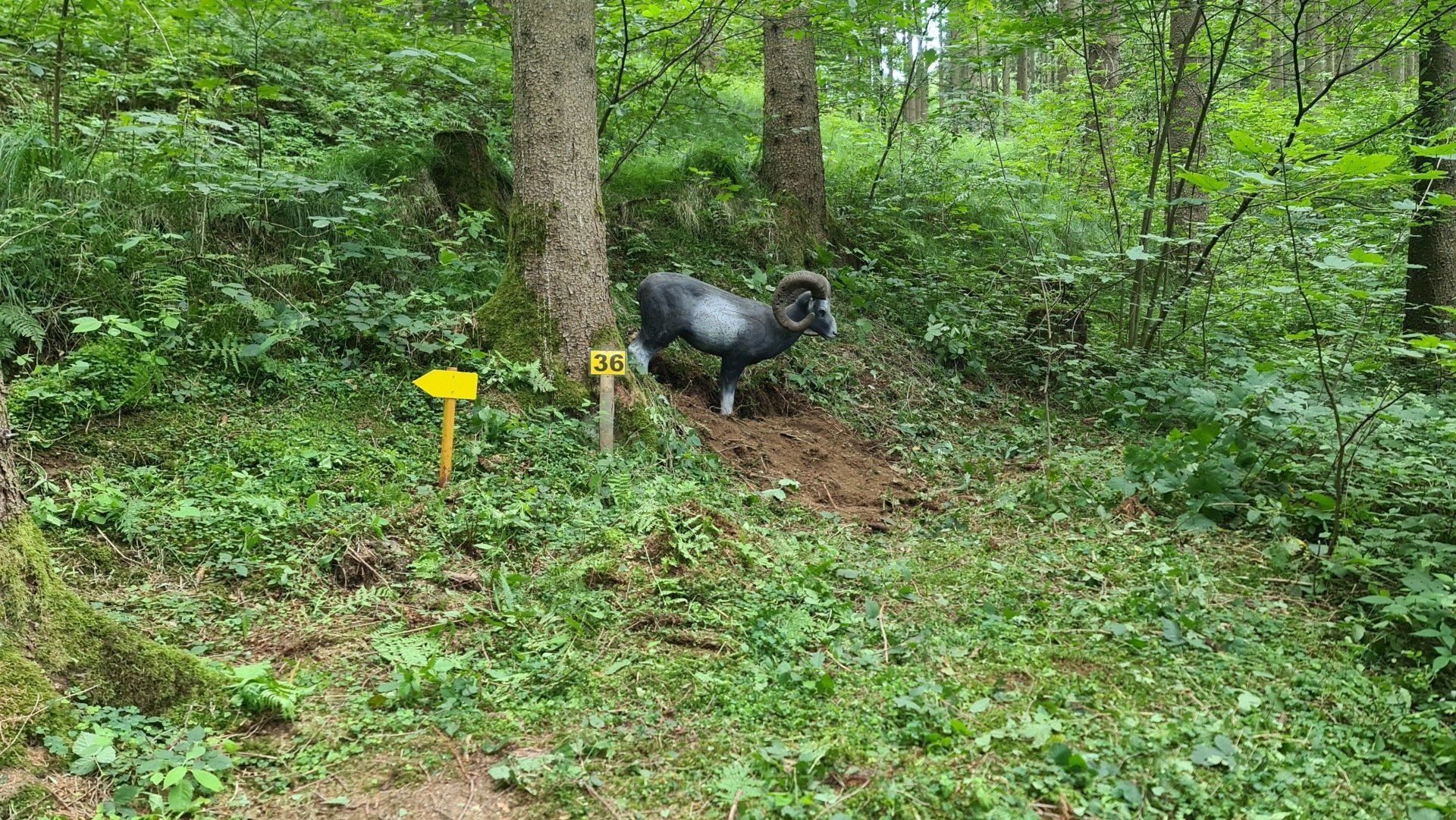 Zielübung im Wald. Eine Widder-Zielscheibe steht inmitten grünen Laubs in der Nähe von Bäumen und ist mit einer gelben Markierung versehen.