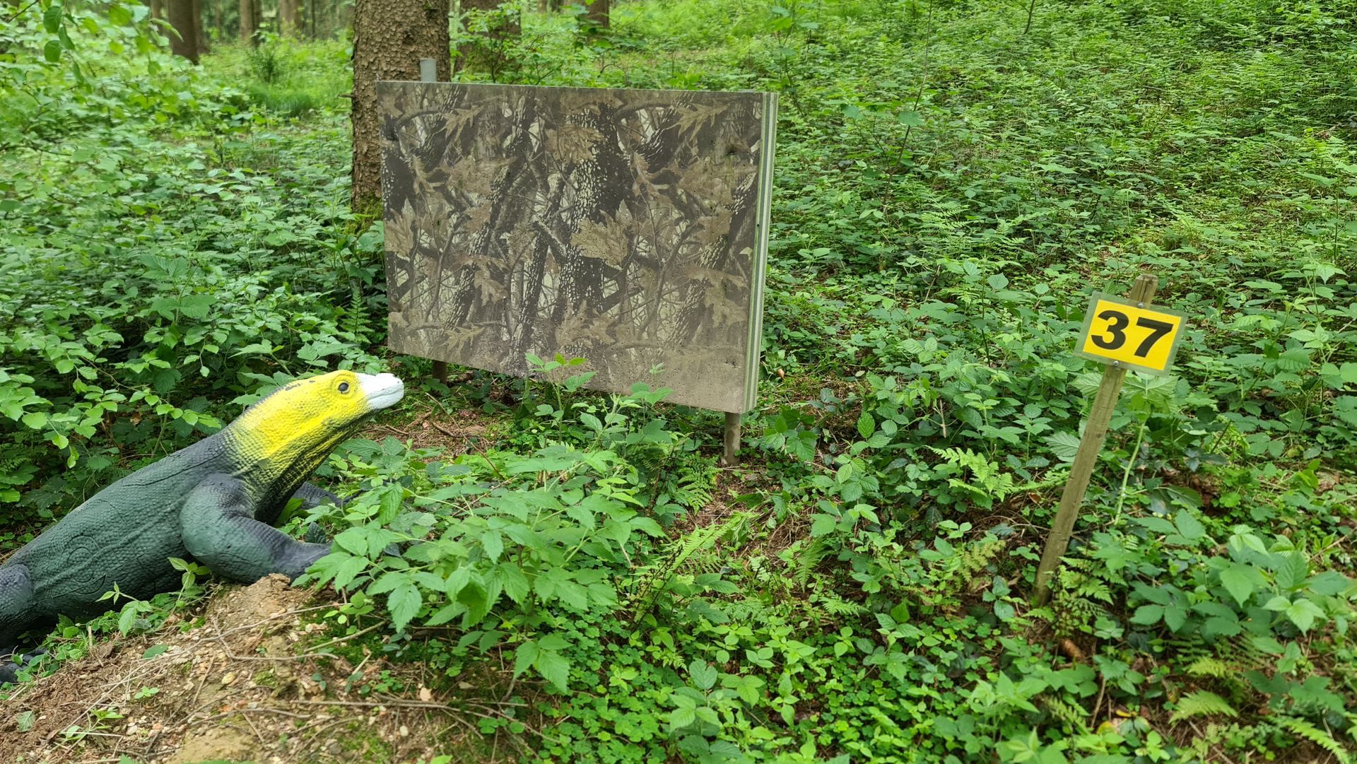 Eine grüne Eidechsenskulptur neben einer Zielscheibe in einer Waldlandschaft, daneben ein Schild mit der Nummer 37.