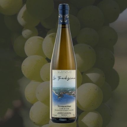 Vermentino "COLLI DI LUNI"