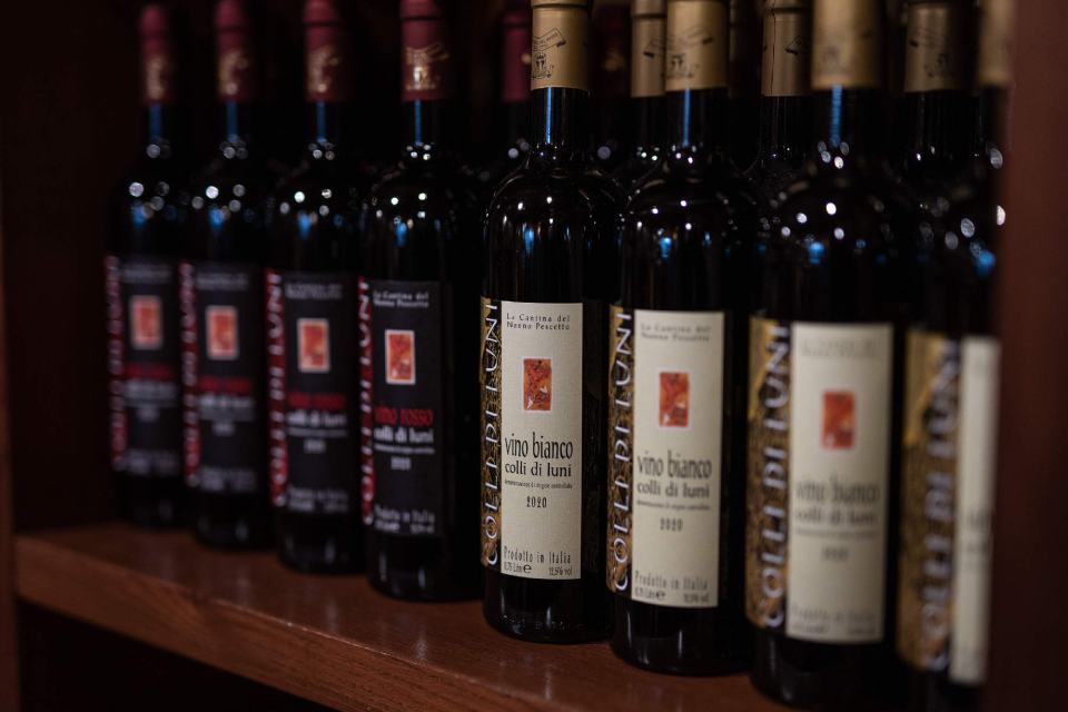 produzione vini bianchi Cantina del Nonno Pescetto Santo Stefano di Magra