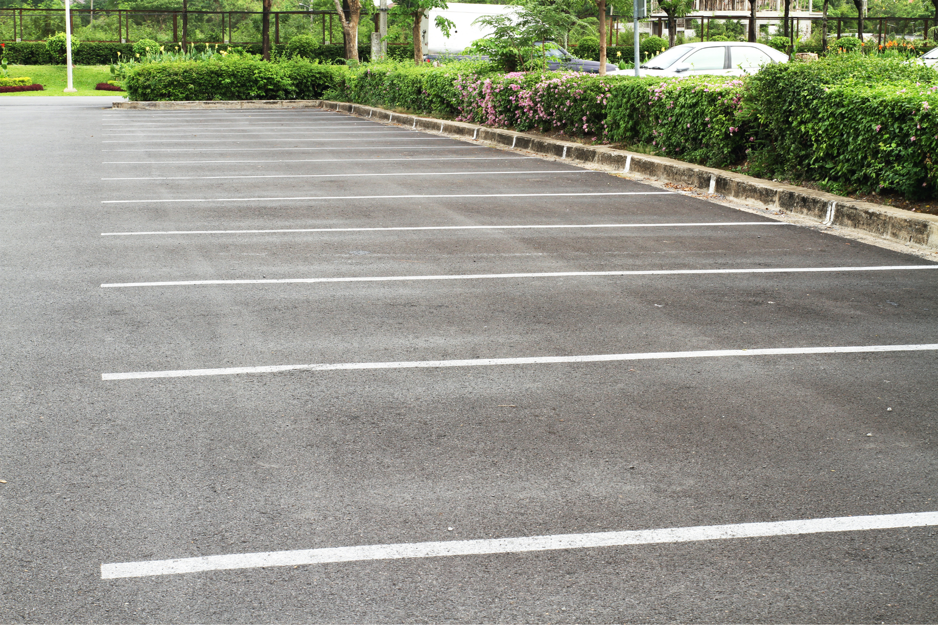 Empty asphalt parking lot with white parking lines beside green hedges and a road