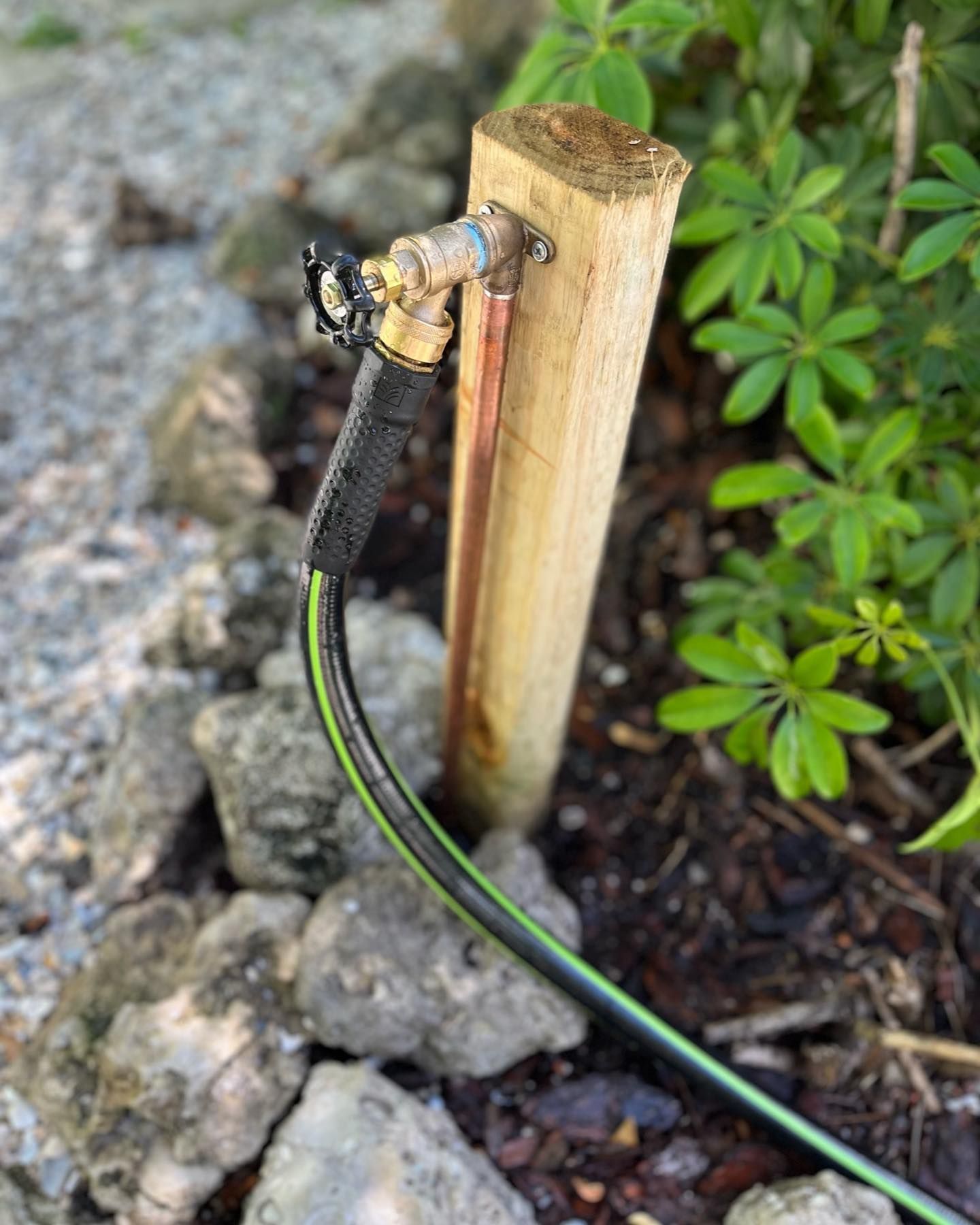 Eliminated this pesky hose ran