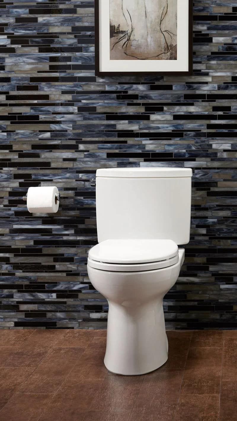 Toto+drake+toilets+with+soft+close+seats.jpg