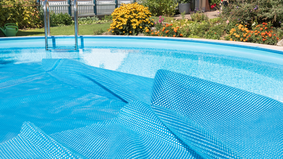 Can a Pool Be Ecofriendly? 6 Tips for a More Sustainable Swimming Pool