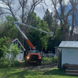 Orange tree trimming truck with extended arm near two buildings and trees.