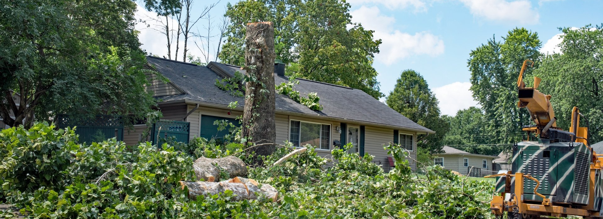 House with a chimney covered in vines, surrounded by cut branches and a tree service vehicle.