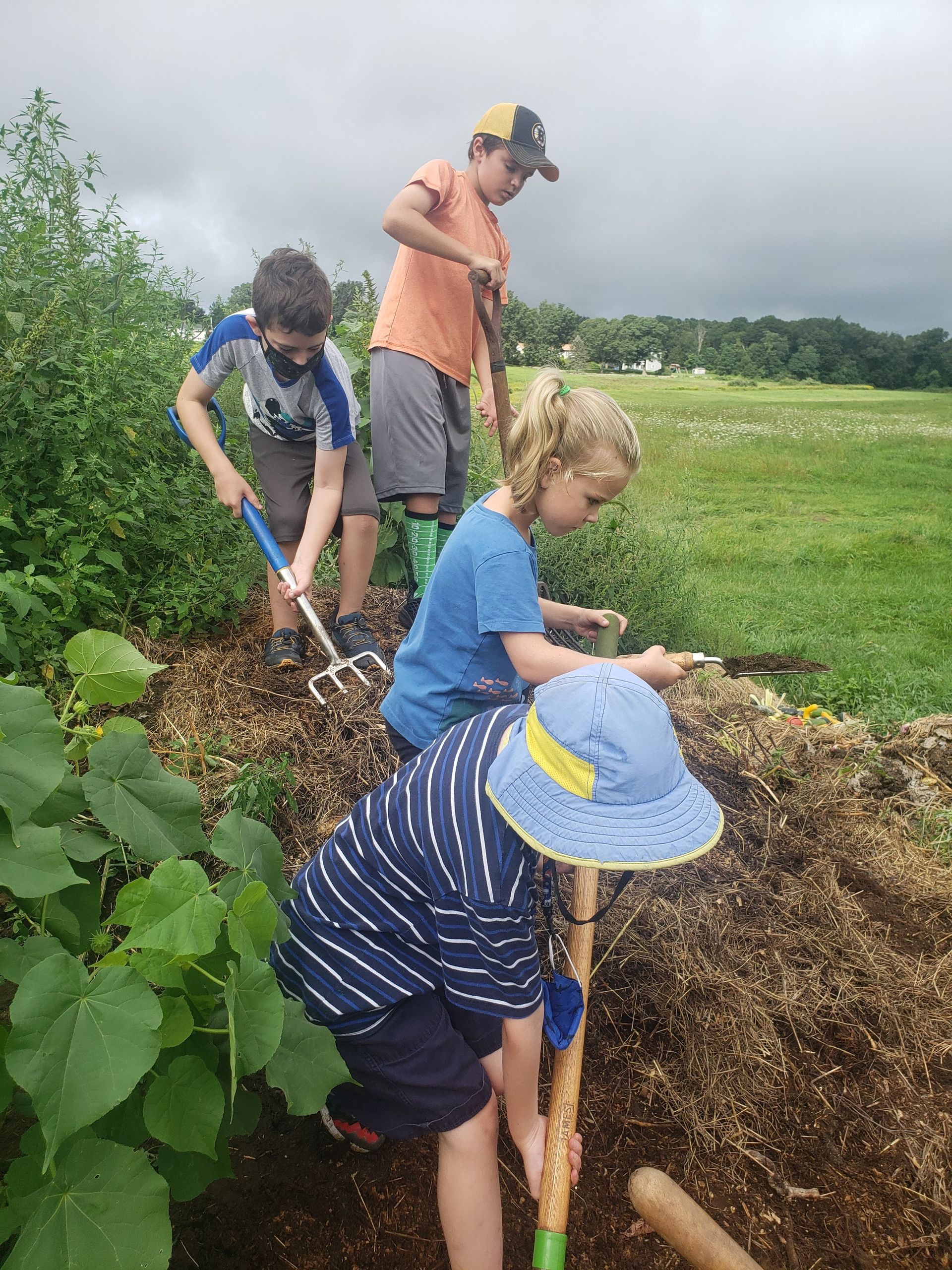 The Backyard Farmer Fall Program