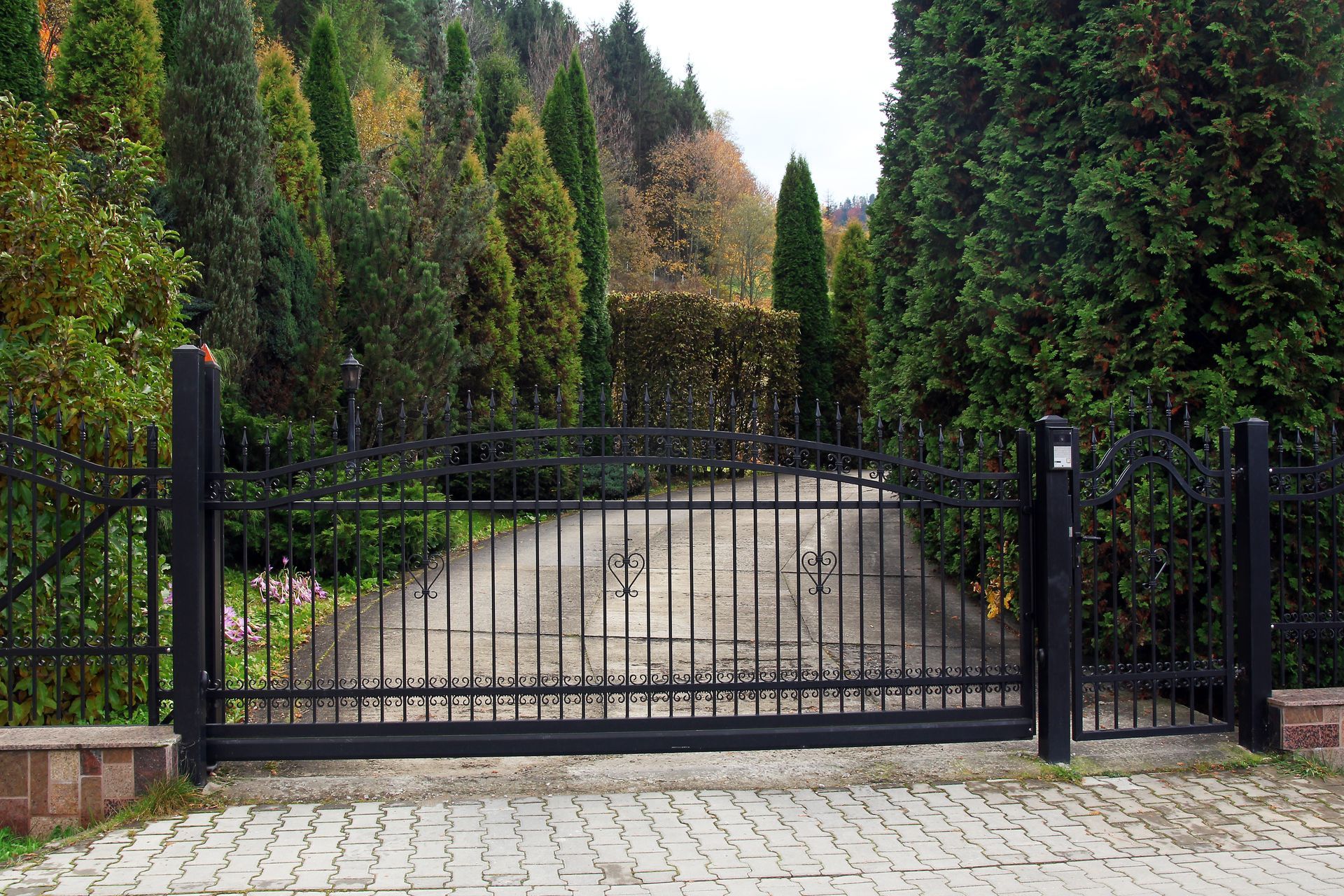 Black iron gate across a gravel driveway, lined with tall evergreen hedges and trees.