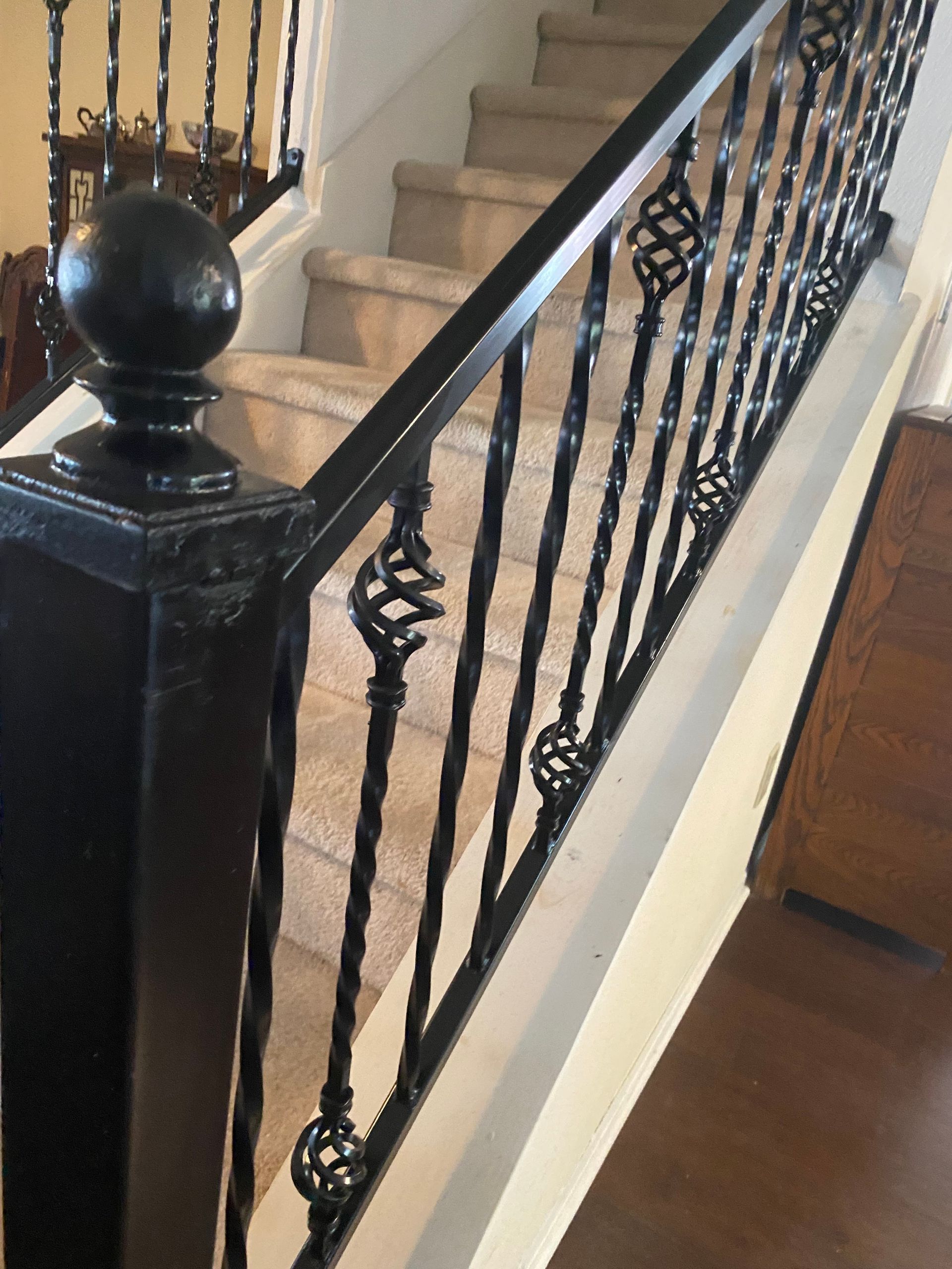 Black wrought-iron stair railing beside beige carpeted stairs and a wood floor hallway