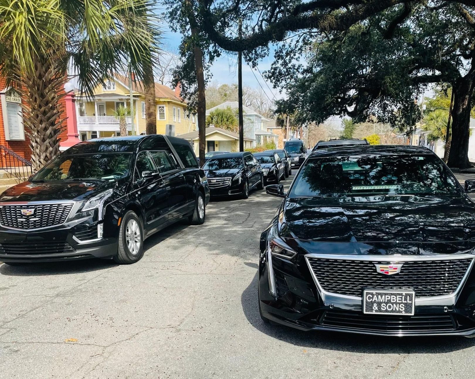Black luxury cars lined up on a palm-lined street outside a building