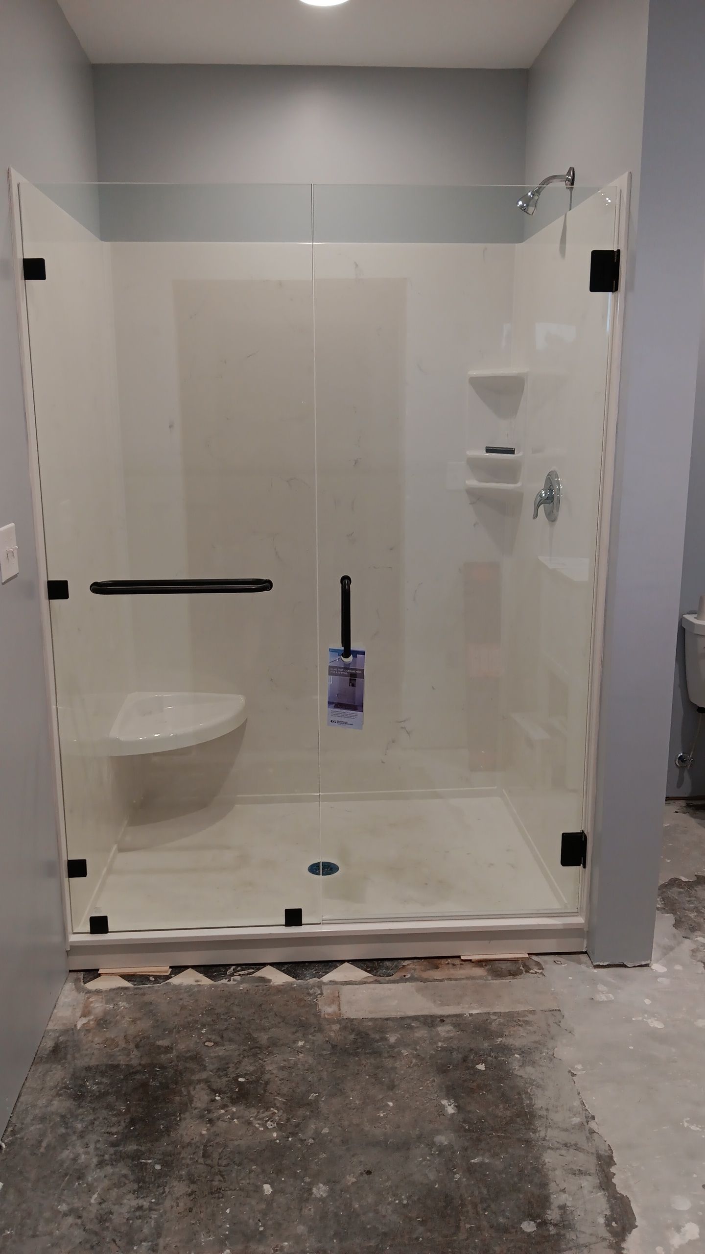 A bathroom with a walk in shower and a toilet.