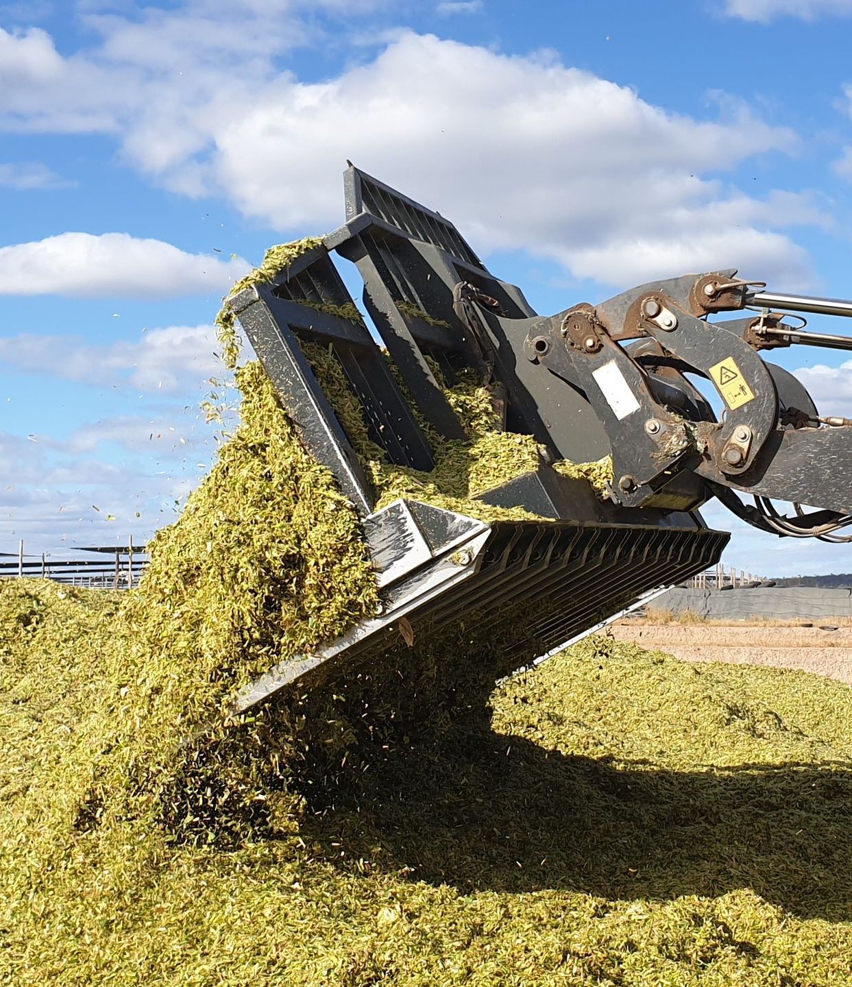 Silage buck rake 