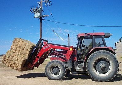 Bale Forks