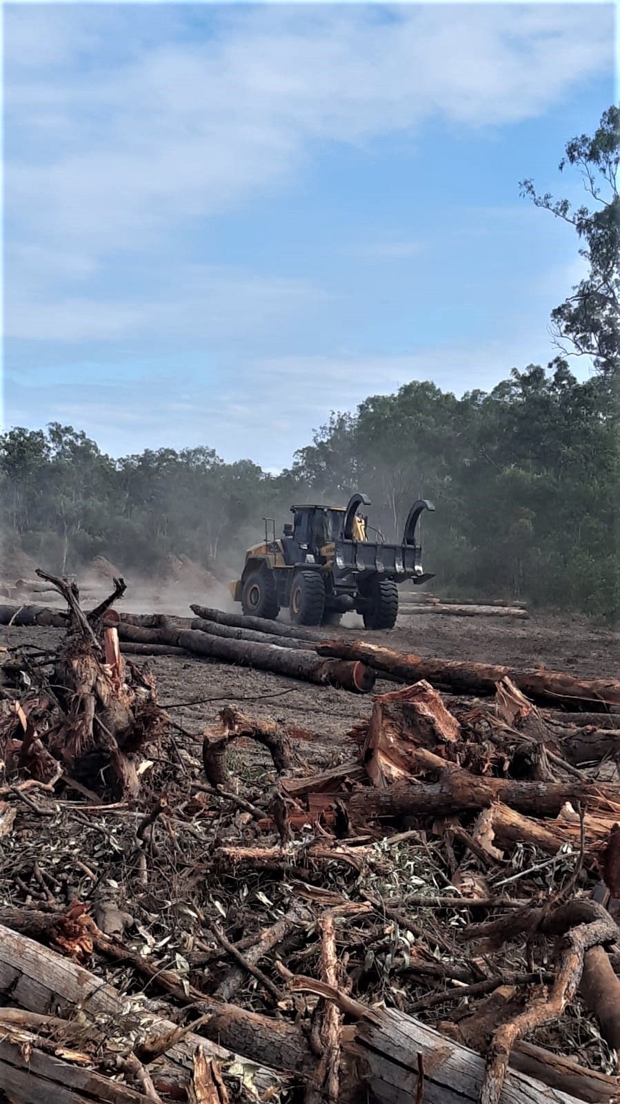 Timber Log Grab on Wheel Loader