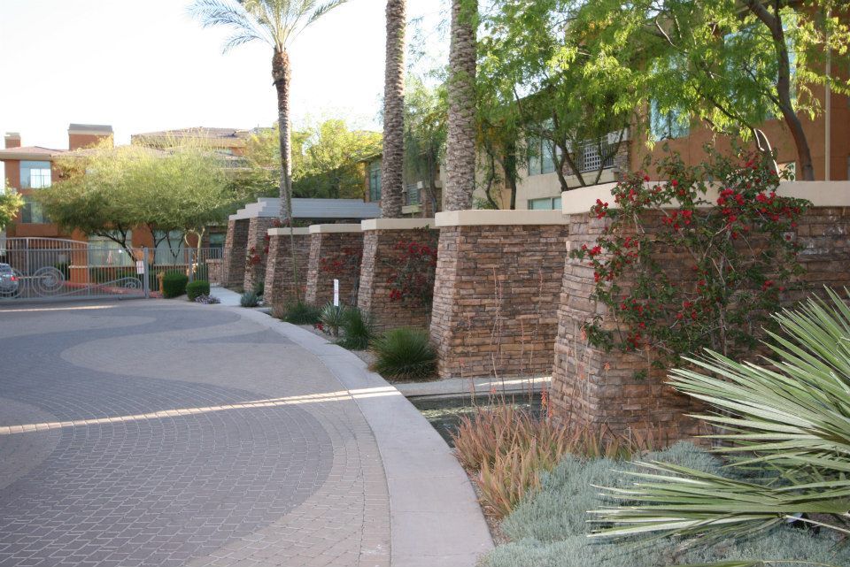 Curved walkway beside brick walls and palm trees in a landscaped residential courtyard