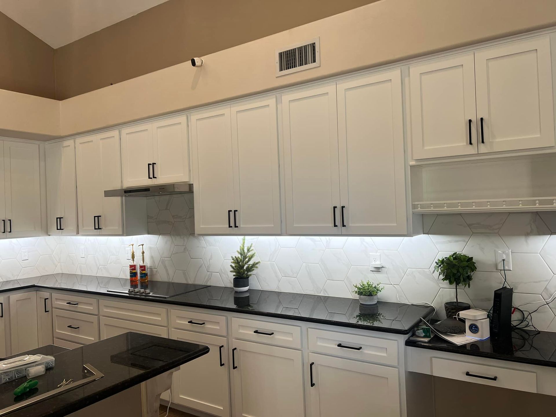 Bright white kitchen with black countertops, white cabinets, and small potted plants along the counter.