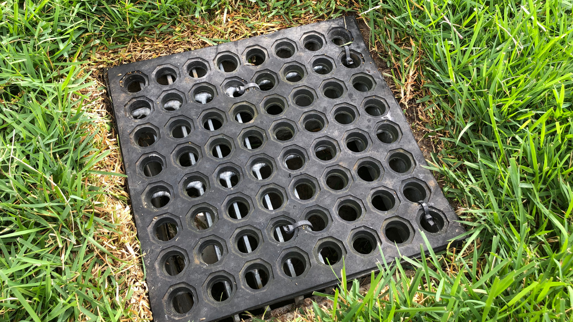 A black drain cover is sitting in the grass.