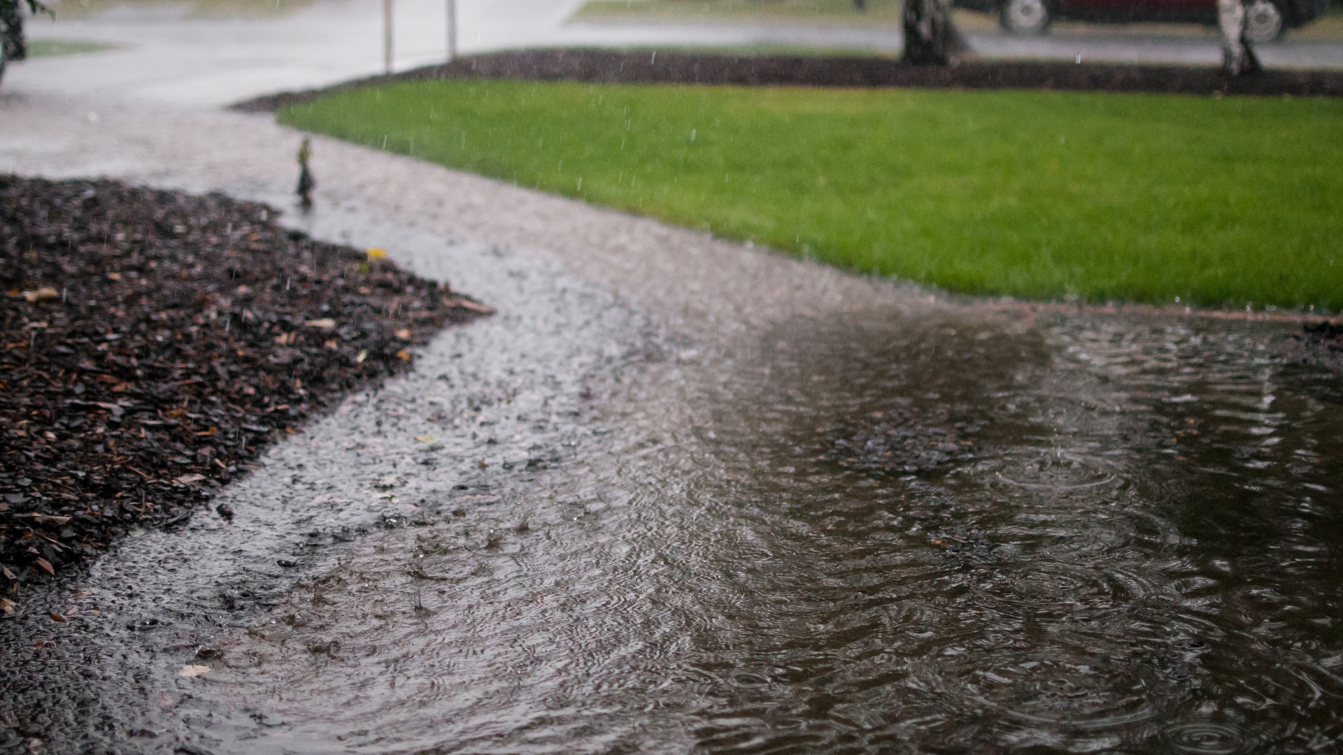 yard drainage mistakes causing standing water in a residential lawn