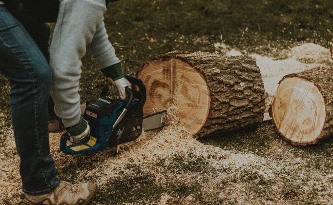 Person using a chainsaw to cut a log outdoors, with wood shavings scattered around.