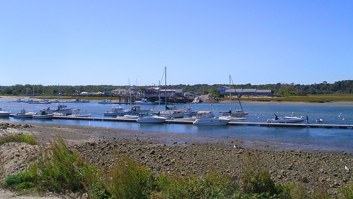 Boats docked at a harbor under a blue sky; oyster-covered shore in foreground, buildings and trees in background.
