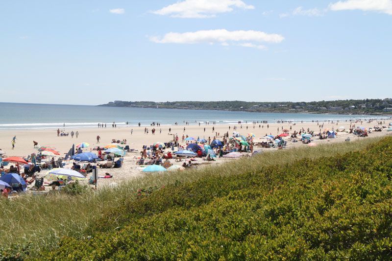 Beach scene with many people, umbrellas, blue sky, and green shrubs.