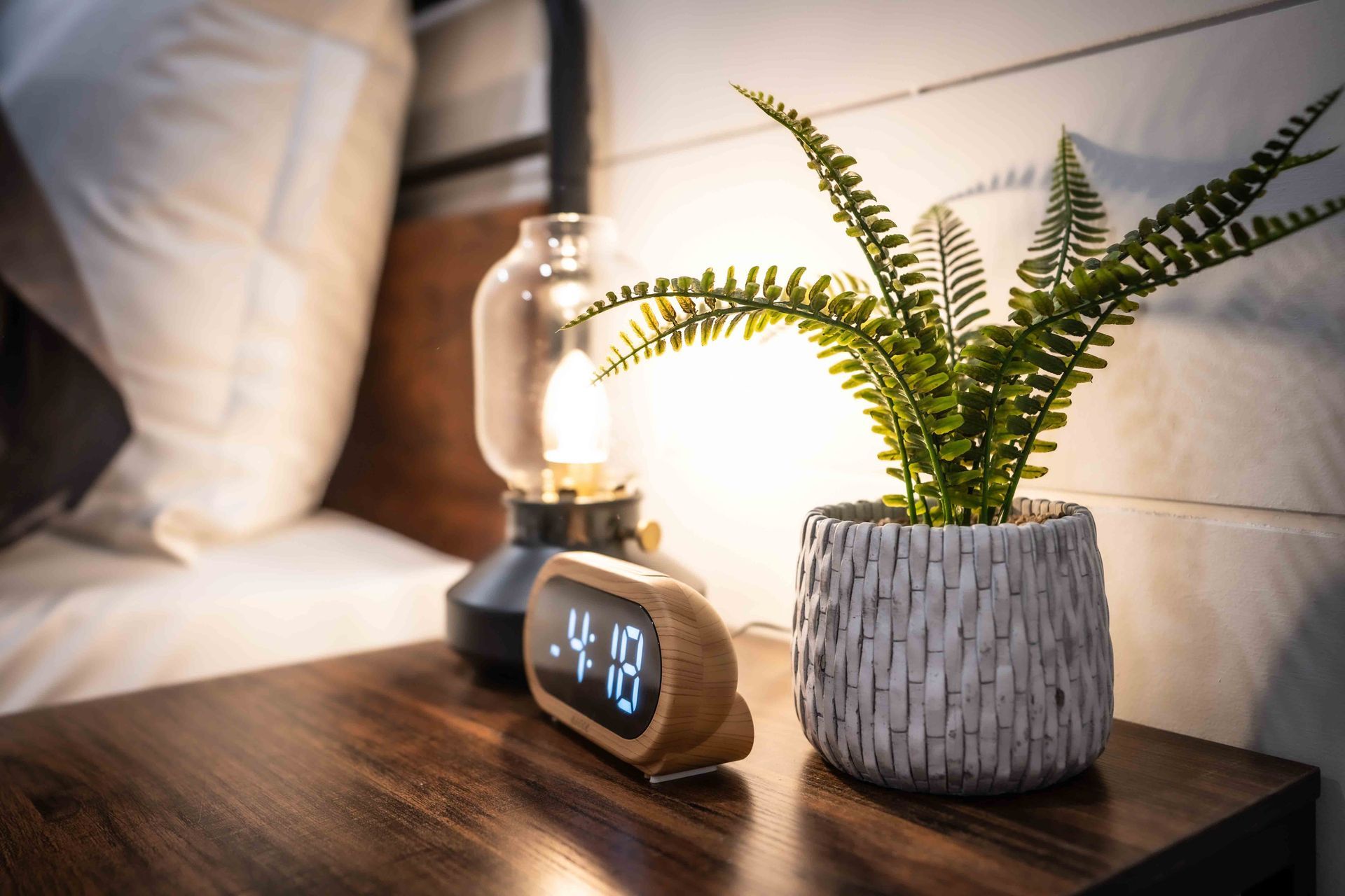 a bedside table with an alarm clock, a table lamp and a green plant in a pot
