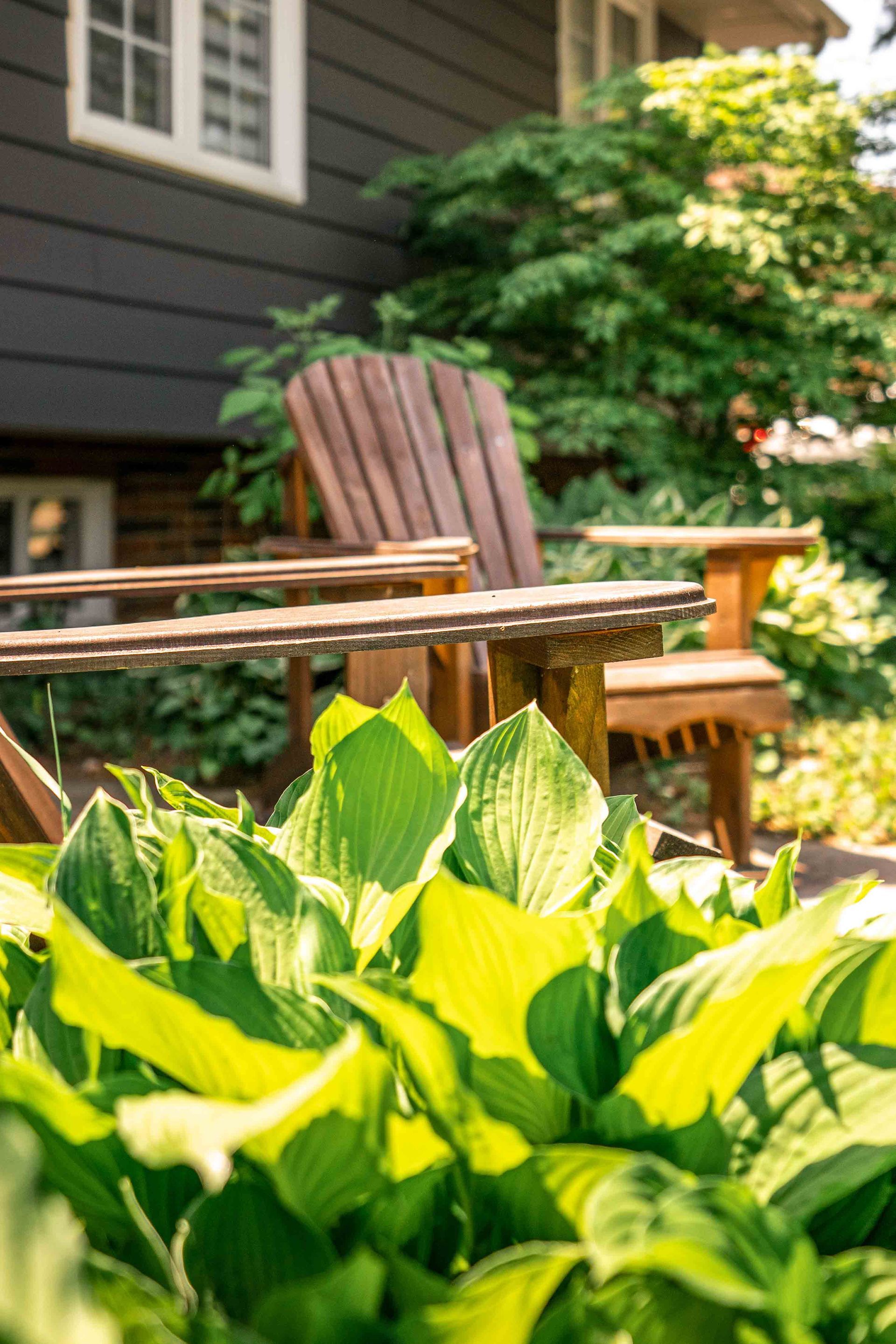 outside of a blue house, a relaxing wooden chair in mid ground, green shrubs in foreground