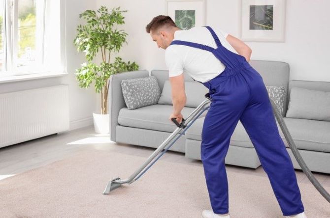 Person vacuuming a light gray carpet in a bright living room with a gray sofa and potted plant