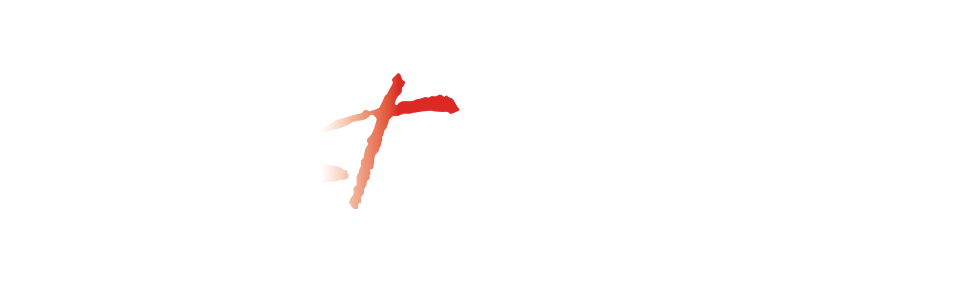 A red, cross-like mark on a white background.